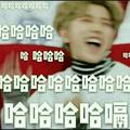 一只可爱的ikun 头像