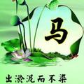 一步一个脚印4737头像
