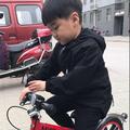 o哇噻310头像