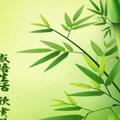 远方的鹰863头像
