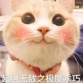 愚人自愈i973头像