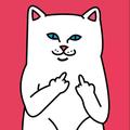 扎克猫头像