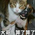 往事随风41112头像