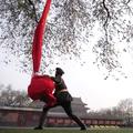 YanY飞头像
