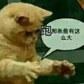 呵呵我不是雷健头像