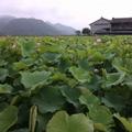 人在旅途57942头像