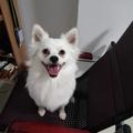 小明63249头像