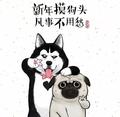 H.X🇨🇳头像