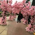 长长的名字是不是容易被人记住头像