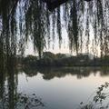 新力集团蔺海龙头像