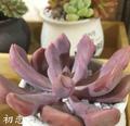 无名201805头像