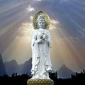 看破红尘8811头像
