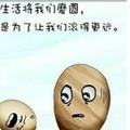 天道5230头像