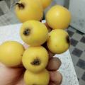钱姐197头像