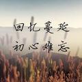 lzg晨风头像