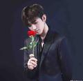 Love12312345123456头像