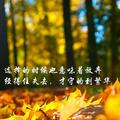 天若有情98483头像