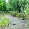 依维柯小货头像