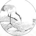 seling灬孤鹤头像