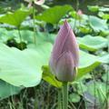 6915274消防泵头像