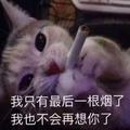 多傻多轻狂头像