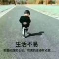 小妞苏素头像
