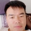 人生难策绿叶头像