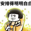 叮咯咙咚羌 · 海豹06DM车主·车龄半年头像