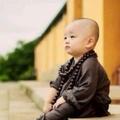 三金大法师头像