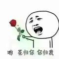 空心菜259813138头像