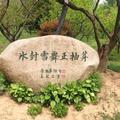 0子非鱼你非我0头像