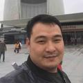 大海里的树林头像