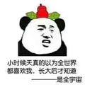 只因浊酒恋红尘头像
