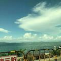 鹏虎861头像