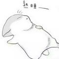 聪颖船帆rfz头像