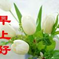 乐52977326头像