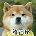 玛卡巴卡巴卡巴CN头像