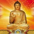 耿立敏874头像
