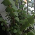 溜达溜达77043915头像