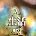 炫赫门156头像