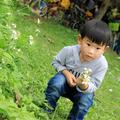 pipicao1头像