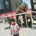 Hanshan704头像