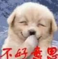 小样559头像