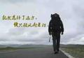 平头哥lg头像
