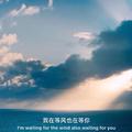 保码5688头像