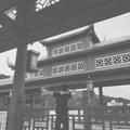 WYL826头像