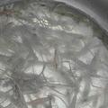似水流年127785156头像