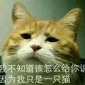 火星蹦蹦车头像