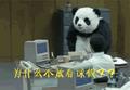 大泡泡9527头像