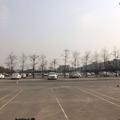开心每一天23020头像